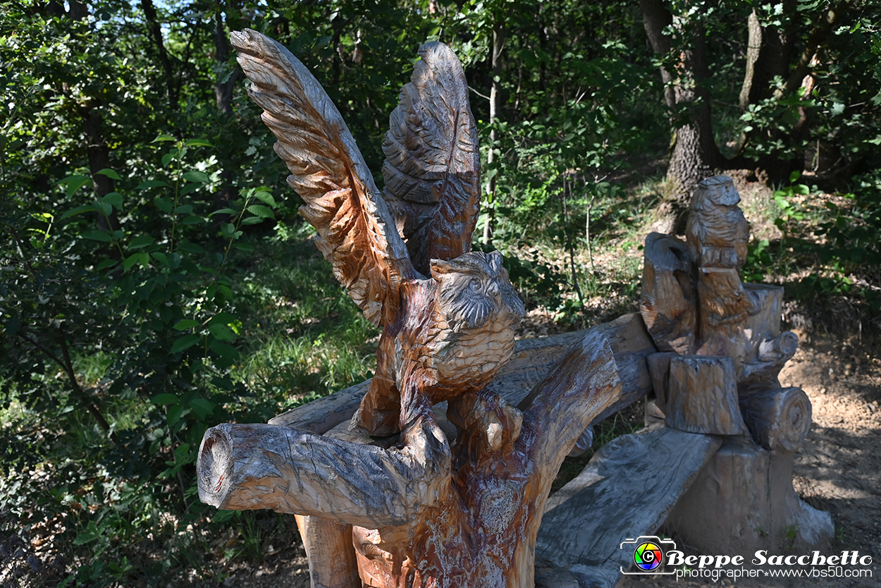 VBS_4731 - Il bosco fatato - Montaldo Roero.jpg